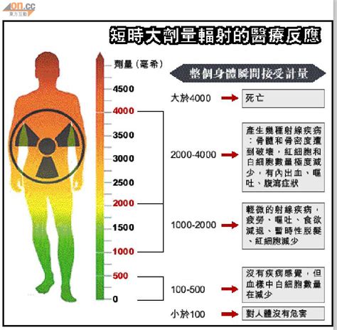 被輻射過的人